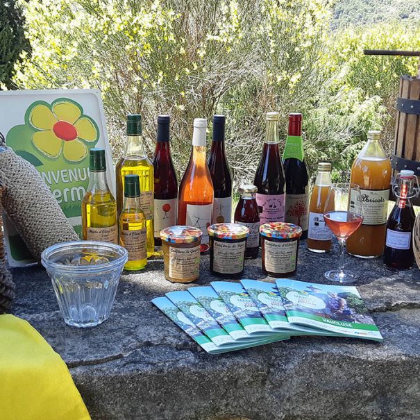 Activité au Domaine Degoutaud Vaucluse