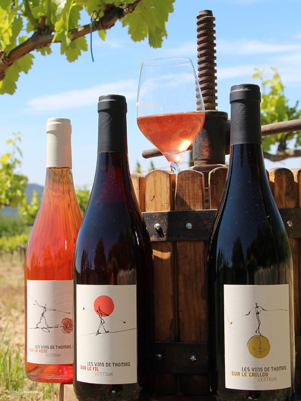 Nos vins des vignes du Domaine Degoutaud